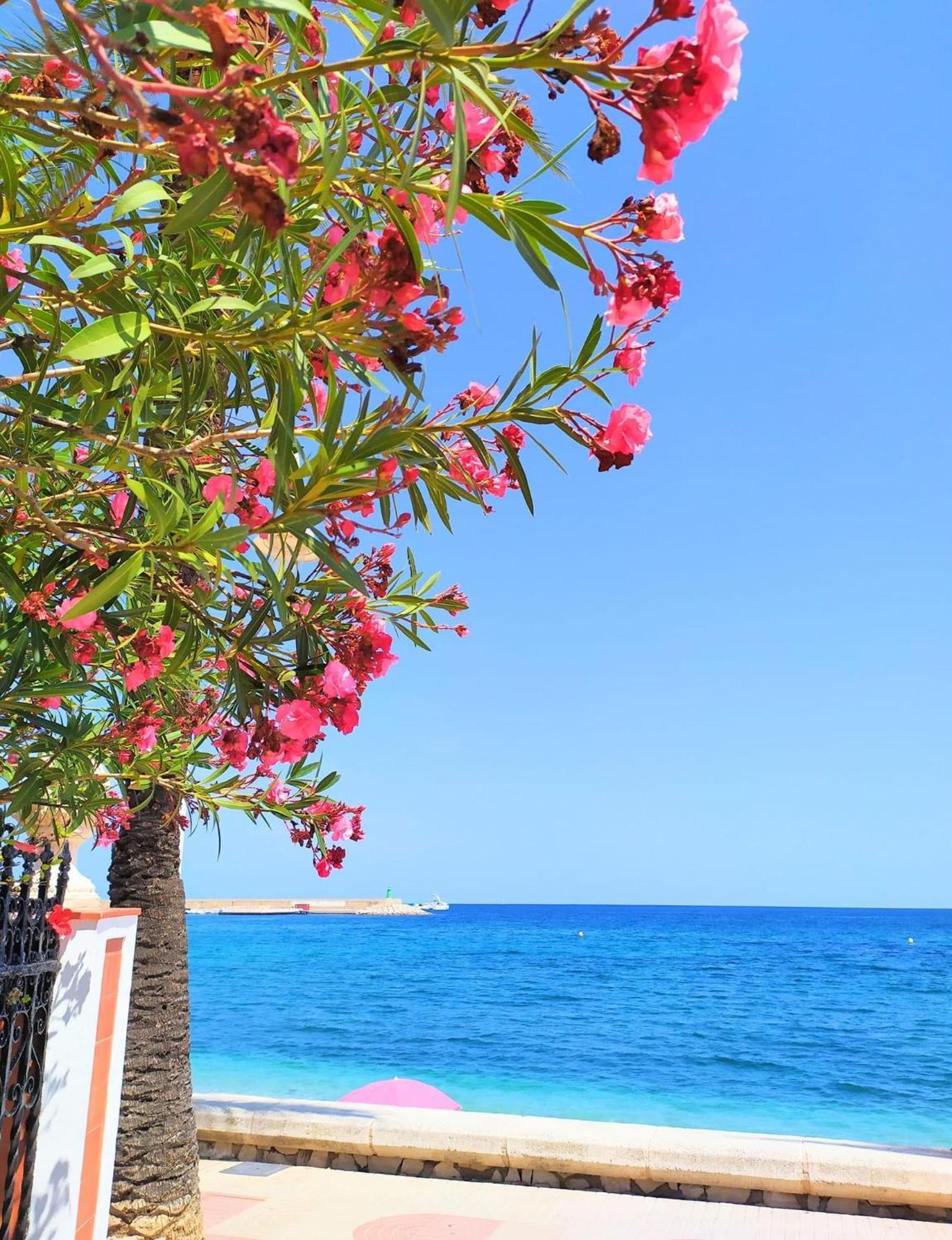 Javea Arenal Beach Exterior photo